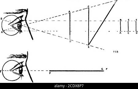 . Modellzeichnung und Schattierung von Abgüssen; eine vollständige Anleitung für die elementaren und fortgeschrittenen Prüfungen in diesen Fächern; . Abb. 3. Die Dinge, die man sich ansieht, müssen im Auge des Betrachters zu einem Punkt kommen, und dass, wenn man sein Loch in seiner ersten Position hielt, man in diesen kleinen Kreis das ganze Bündel von Strahlen einschließt, das man das Bild toform brauchte. Zweitens, es beweist, dass man unmöglich ziehen themodels die gleiche Größe, wie Sie sie sehen, und das, was DER AKT DES SEHENS. » Sie dachten, Sie wußten über ihre Größe muss theresult der vergangenen Erfahrung sein. Drittens wird es die limitatio beweisen Stockfoto