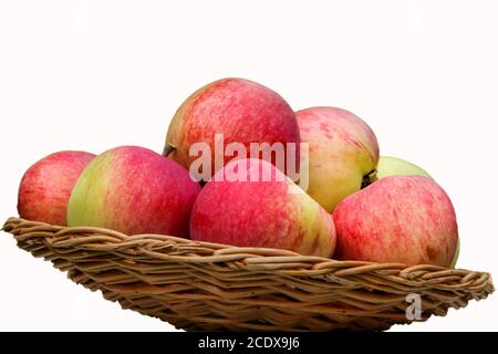 Nahaufnahme von frischen Äpfeln auf einem Holztablett mit Weiß Hintergrund Stockfoto