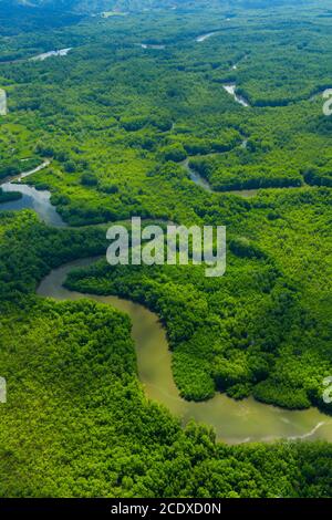 Luftaufnahme von Delta Sierpe River Terraba, Corcovado Nationalpark, Osa Halbinsel, Puntarenas Provinz, Costa Rica, Mittelamerika, Amerika Stockfoto