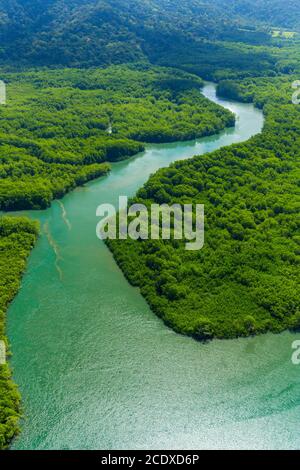 Luftaufnahme von Delta Sierpe River Terraba, Corcovado Nationalpark, Osa Halbinsel, Puntarenas Provinz, Costa Rica, Mittelamerika, Amerika Stockfoto