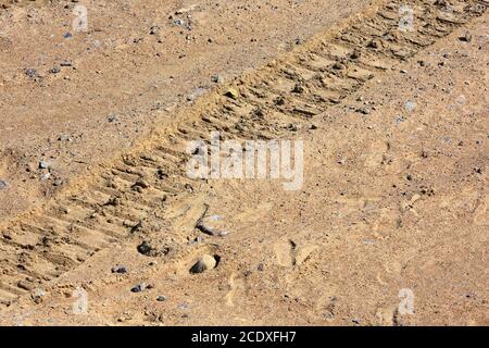 Die Spuren der Reifen auf dem Sand. Stockfoto