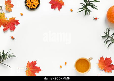 Herbstkomposition - Kürbis und Sanddorn Punch Drink, Herbst Ahornblätter und Kürbisse isoliert auf weißem Hintergrund, kreative flache Lage, Draufsicht Stockfoto