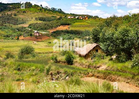 Landschaftsaufnahmen von grünen Feldern und Landschaften auf der Insel Von Madagaskar Stockfoto