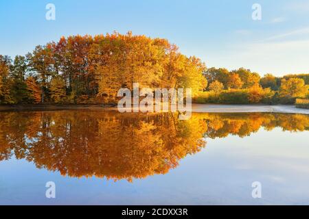 Schöne scharlachrote, gelbe, Orangenbäume an der Flussküste spiegeln sich im Wasser. Unglaublich sonniger Tag. Majestätische ländliche Herbstlandschaft. Malerisches Re Stockfoto