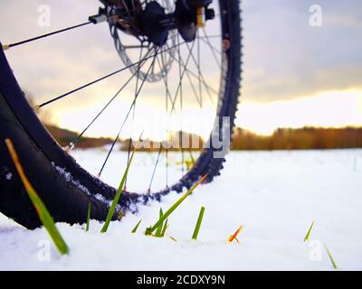 Vorderrad des Mountainbikes bleiben im Schnee. Schneeflocken schmelzen auf dunklem Offroad-Reifen. Stockfoto