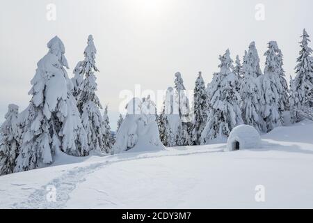 Iglu mit Schnee bedeckt steht auf dem Rasen. Winterlandschaft in den sonnigen Tag. Schneebedeckter Hintergrund. Stockfoto