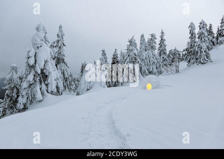 Der breite Weg führt zum verschneiten Iglu. Winterlandschaft in den Bergen. Haus mit Licht. Lage Ort der Karpaten, Ukraine, Europa. Stockfoto