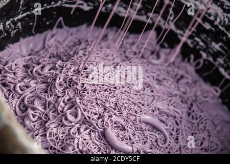 Herstellung von chinesischen Nudeln auf dem Markt in Chongqing Stockfoto