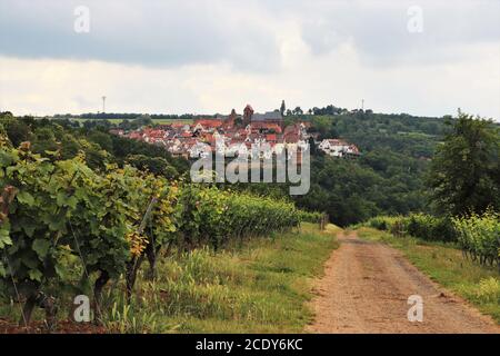 Weg durch den Weinberg in der Deutschen Weinregion, Neuleiningen, Deutschland Stockfoto