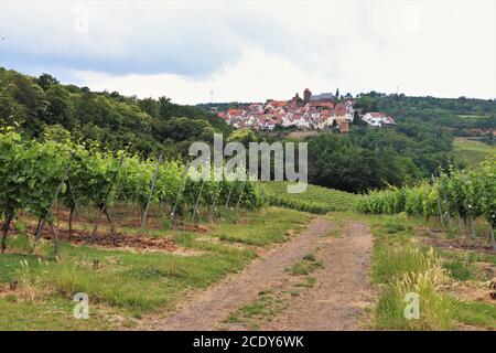 Weg durch den Weinberg in der Deutschen Weinregion, Neuleiningen, Deutschland Stockfoto