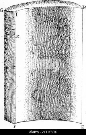 . Ein Brief von Herrn Anthony Van Leeuwenhoek, F. R. S. über die Barks of Trees . 7- B WIST ? USD. Stockfoto