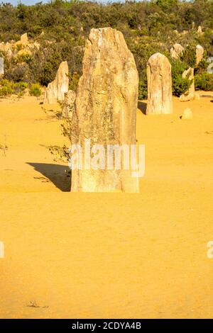 Pinnacles Wüste im Westen Australiens Stockfoto