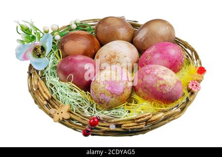 Handgemachtes Osternest mit ländlichen Huhn Bio-Eier, die mit natürlichen Farbstoffen bemalt sind - Rüben, Kohl, Zwiebel isoliert Stockfoto