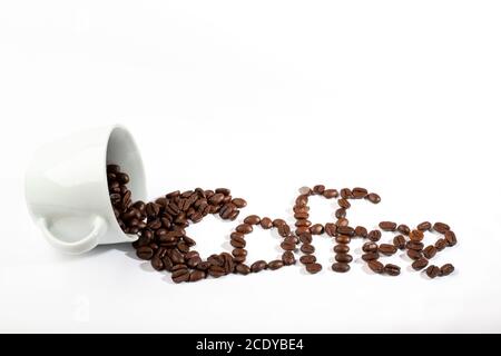 Weiße Tasse mit Kaffeebohnen auf weißem Hintergrund Stockfoto