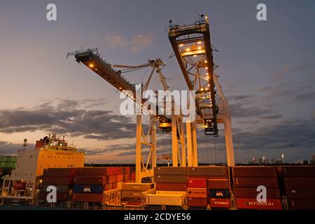 Miami, USA - 01. März 2016: Container im Frachthafen. Container und Kräne beleuchtet in der Dämmerung. Containerschiff. Container-Service. Stockfoto