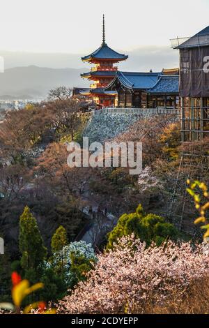 Frühling Kyoto, Kiyomizu Tempel Stockfoto