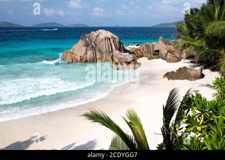 Ein Strand mit Palmen, große Steine, turqouise Wasser und Wellen Stockfoto