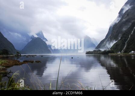 Misty Milford Sound, Neuseeland Stockfoto