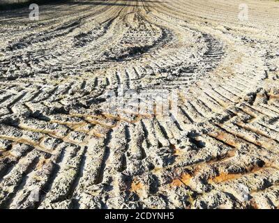 Traktorspuren im schlammigen Feld, Alsemberg, Belgien Stockfoto