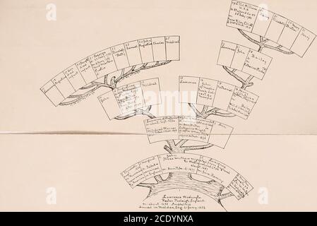 . Proceedings bei der Enthüllung des Schlachtdenkmals in Spartanburg, S. C., in Gedenken an den hundertjährigen Jahrestag der Schlacht von Cowpens. Es ist viel zu bedauern, dass diese Infor-mation ist nicht allgemein bekannt in Virginia, wie es behauptet hat. Da die Familienaufzeichnungen in Charleston, S.C., aufbewahrt werden, hat das Komitee von Kapitän Henry A. DeSaus-Sure (dessen Informationen und Erfahrungen in solchen Matterseine Garantie der Genauigkeit waren) verlangt, ein Diagramm vorzubereiten, das die Familie Washington vom Auswanderer John Washington bis zum Ende des XVIII. Jahrhunderts zeigt. Dieser öffentlich-geistige Bürger, der gem Stockfoto