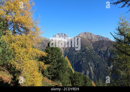 Blick auf die alpine Landschaft der ostalpen in Neustift im Stubaital Stockfoto