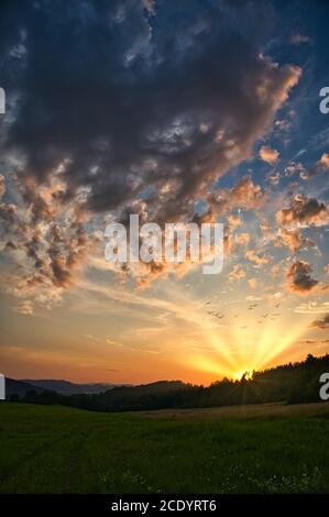 Sonnenuntergang über einer großen Wiese. Die Sonne untergeht hinter den Bäumen im Wald. Eine Schar von Vögeln fliegt in den Himmel, bunte Wolken von der untergehenden Sonne, die Stockfoto