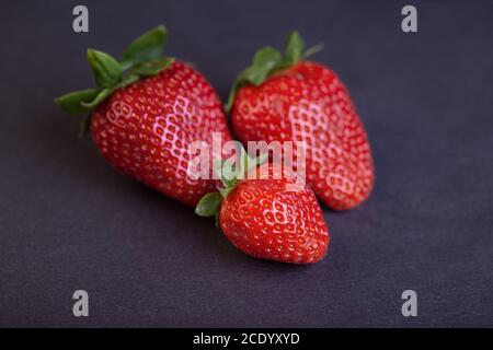 Frische Erdbeeren auf Schiefer Stockfoto