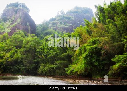 Ungewöhnliche Felsformationen und Bambusbäume säumen die Ufer des neun-Bogen-Flusses in wuyishan an einem bewölkten Tag in der Provinz fujian china. Stockfoto