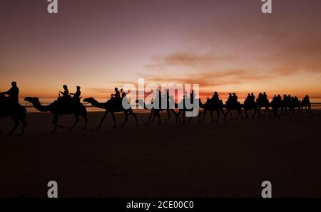 WESTERN Australia - Kamelritt bei Sonnenuntergang mit Silhouette Von Touristen am Cable Beach in Broome Stockfoto