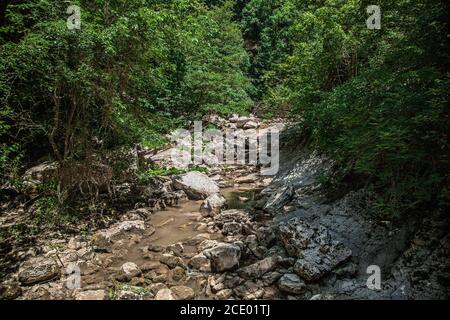 Die felsigen Schluchten und grünen üppigen Wald. Der Blick von oben. Sommerlandschaft. Stockfoto