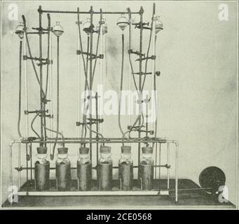 . Das Journal of Laboratory and Clinical Medicine . Surementof the Gas befreite. *vom Laboratory of physiological Chemistry, College of Medicine, University of Illinois. 174 DAS JOURNAL FÜR LABOR UND KLINISCHE MEDIZIN die Maschine shoAvn in Abb. 1 besteht im Wesentlichen aus einem Träger von drei-Achtel-Zoll-Rohr, von dem eine Platte durch vier Messingstangen aufgehängt wird. Der Exzenter auf der Welle des Antriebsrades ist mit dieser Aufhängung durch eine Stange verbunden, die eine flexible Verbindung am Plattenende hat. Die in der Maschine verwendeten Flaschen sind 500 c.c. Salzflaschen, geschliffen für Glasstopfen. Thes Stockfoto