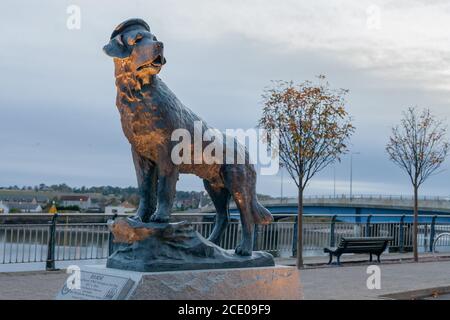 Die Bamse Statue ist ein Denkmal für den Hund Bamse, der während des Zweiten Weltkriegs zu einem heroischen Maskottchen der Freien Norwegischen Streitkräfte wurde. Stockfoto