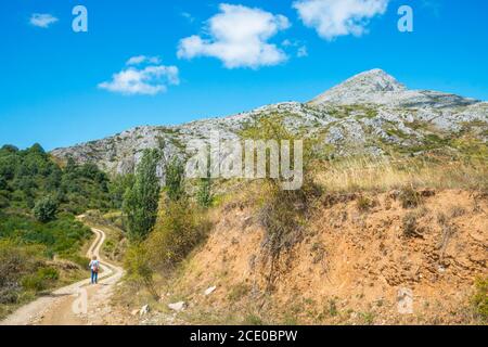 Querformat. Villafria de la Peña, Provinz Palencia, Castilla Leon, Spanien. Stockfoto