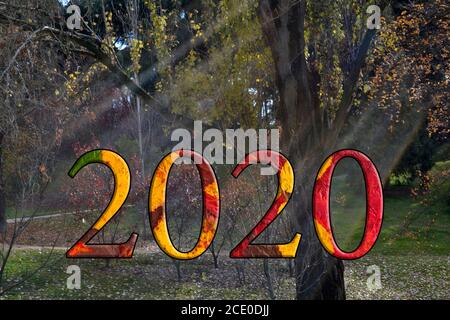 Herbst 2020. Die 2020 Figuren Formen sich mit Herbstblättern mit einem Hintergrund von Pilzen, charakteristisch für die Zeit. Stockfoto