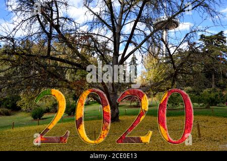 Herbst 2020. Die 2020 Figuren Formen sich mit Herbstblättern mit einem Hintergrund von Pilzen, charakteristisch für die Zeit. Stockfoto