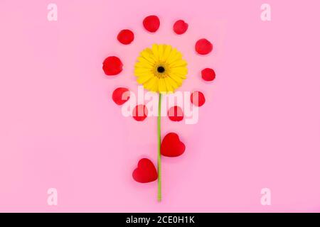 Frühlingsblumen auf einem rosa Hintergrund. Frühling oder Sommer floralen Hintergrund mit Platz für Text kopieren. Wunderschöne Blumen. Blumenzusammensetzung. Hallo Sommer. Hallo Frühling.Flat Lay. Stockfoto