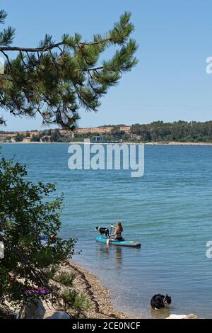 Frau mit Hund auf Stand Up Paddle Board, Strand, Lanterna in der Nähe von Novigrad, Istrien, Kroatien Stockfoto