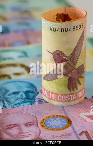 Währung aus Costa Rica. Der höchste Nominalwert von 20,000 Kolonen wurde vor dem Hintergrund anderer Banknoten dieses Landes gerollt Stockfoto