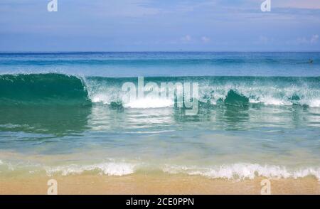 Fliegender Schmetterling über einer hohen Welle am Karon Beach in Phuket, Thailand Stockfoto