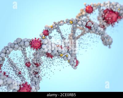 Covid-19. Erreger respiratorischer Coronavirus 2019-ncov Grippe. Virus greift DNA an. 3D-Rendering Stockfoto