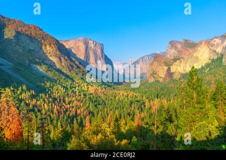 Reisen Sie im Yosemite National Park mit dem berühmten Tunnel View Overlook. Genießen Sie den Blick auf den beliebten El Capitan und Half Dome. Sommerferien in amerika Stockfoto