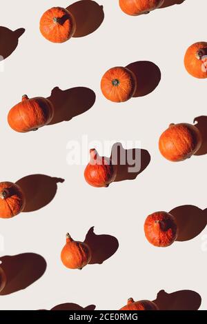 Muster von vielen verschiedenen Kürbissen mit einem harten Schatten auf einem grauen Hintergrund. Halloween-Konzept Stockfoto