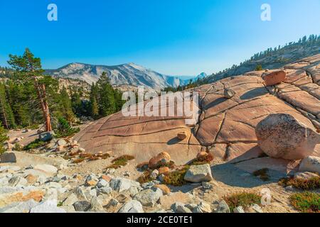 Ebene der Felsen von Olmsted Point, an der Tioga Pass Road im Yosemite National Park, California, USA. Top Blick zu sehen: Tenaya Canyon, halb Stockfoto