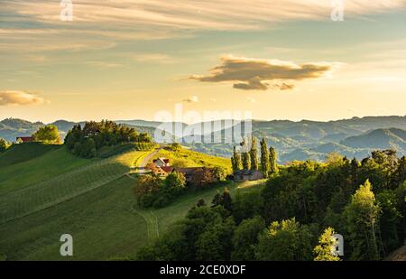 südsteiermark Weinlandschaft, bei Gamlitz, Österreich, Europa. Blick von der Weinstraße im Frühling auf die Traubenhügel. Touristenziel, Stockfoto