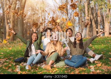 Junge multirassische Freunde spielen mit Herbstblättern im Park Stockfoto