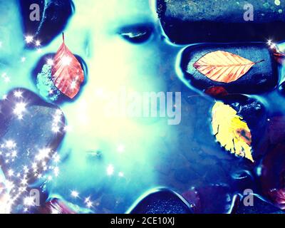 Filmeffekt. Gefallene Buchenblätter und Steine im Wasser des Gebirgsflusses. Herbstfarben. Symbol der Herbstsaison. Orange verfaulte l Stockfoto