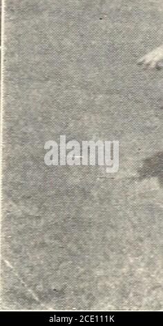 . Jahresbericht der Montana-Schulen für gehörlose, blinde und rückständige Kinder . t1 -. ^f £i::L 31 Stockfoto