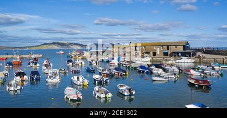 Lyme Regis, Dorset, Großbritannien. August 2020. UK Wetter: Der Cobb und Hafen bei Lyme Regis wird in späteren Nachmittag Sonnenschein gebadet. Kredit: Celia McMahon/Alamy Live Nachrichten. Stockfoto