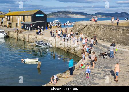 Lyme Regis, Dorset, Großbritannien. August 2020. UK Wetter: Strandgänger und Familien strömen in den Badeort Lyme Regis am Sonntag an den Feiertagen, um den letzten heißen Sonnenschein zu genießen. Familien genießen und am Nachmittag Krabbenfischen und Angeln im Cobb Hafen. Kredit: Celia McMahon/Alamy Live Nachrichten Stockfoto