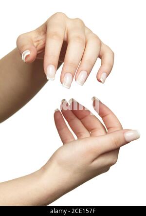 Weibliche Hände mit Frauen professionelle natürliche frenchnails Maniküre auf weiß Hintergrund Stockfoto